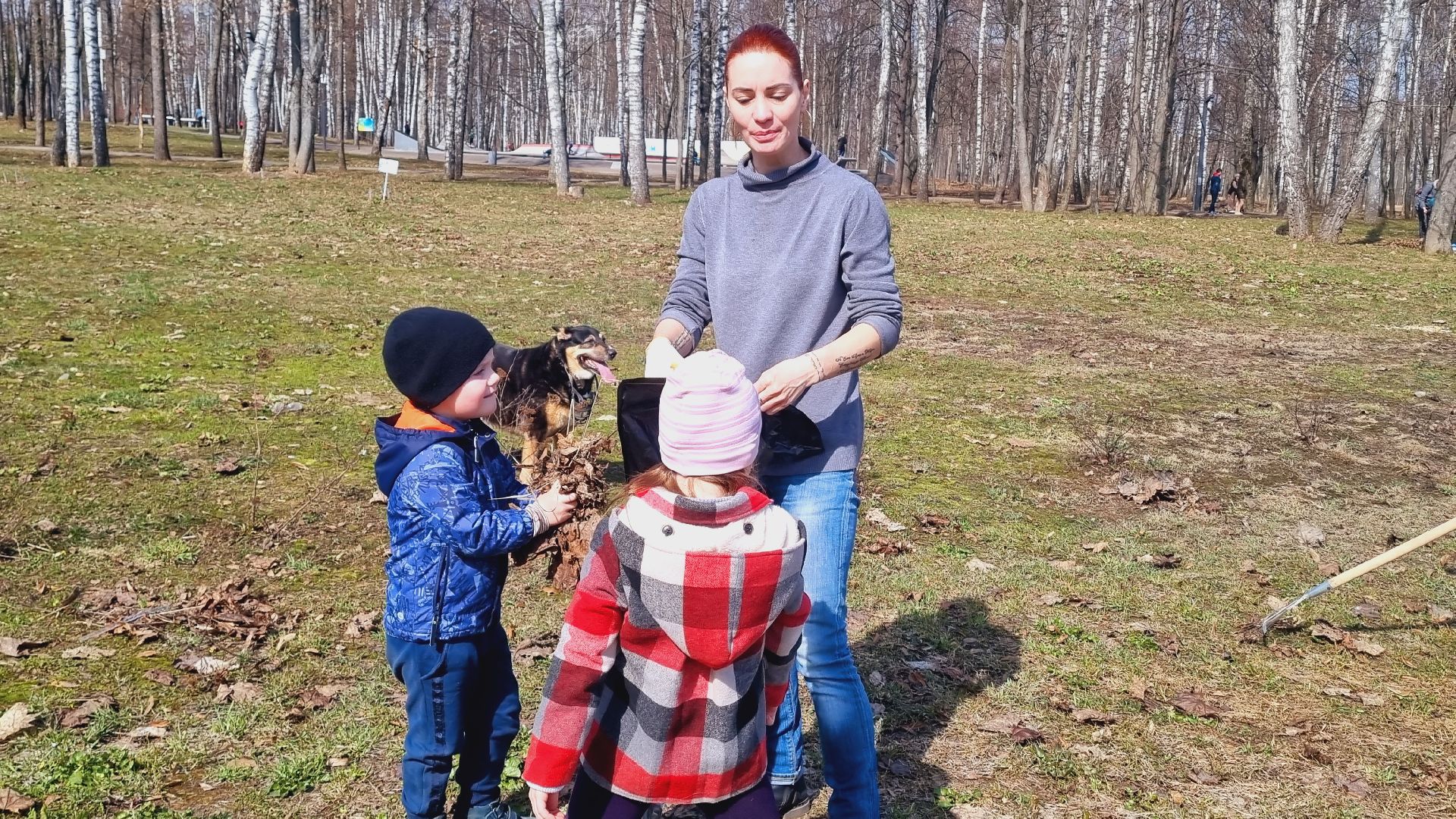 Подмосковье, Ивантеевка, субботник, парки