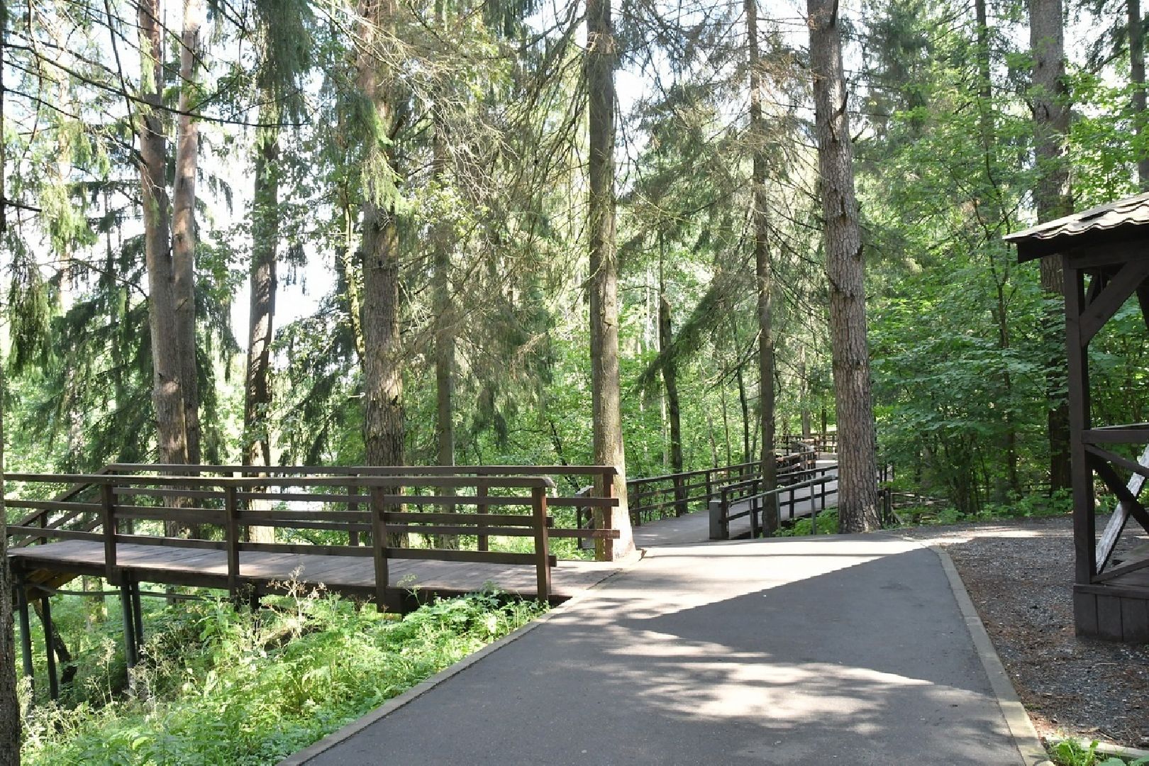 река Загза Власиха, верхнее озеро во власихе, благоустройство набережной, очистка озера во Власихе, обращения жителей,