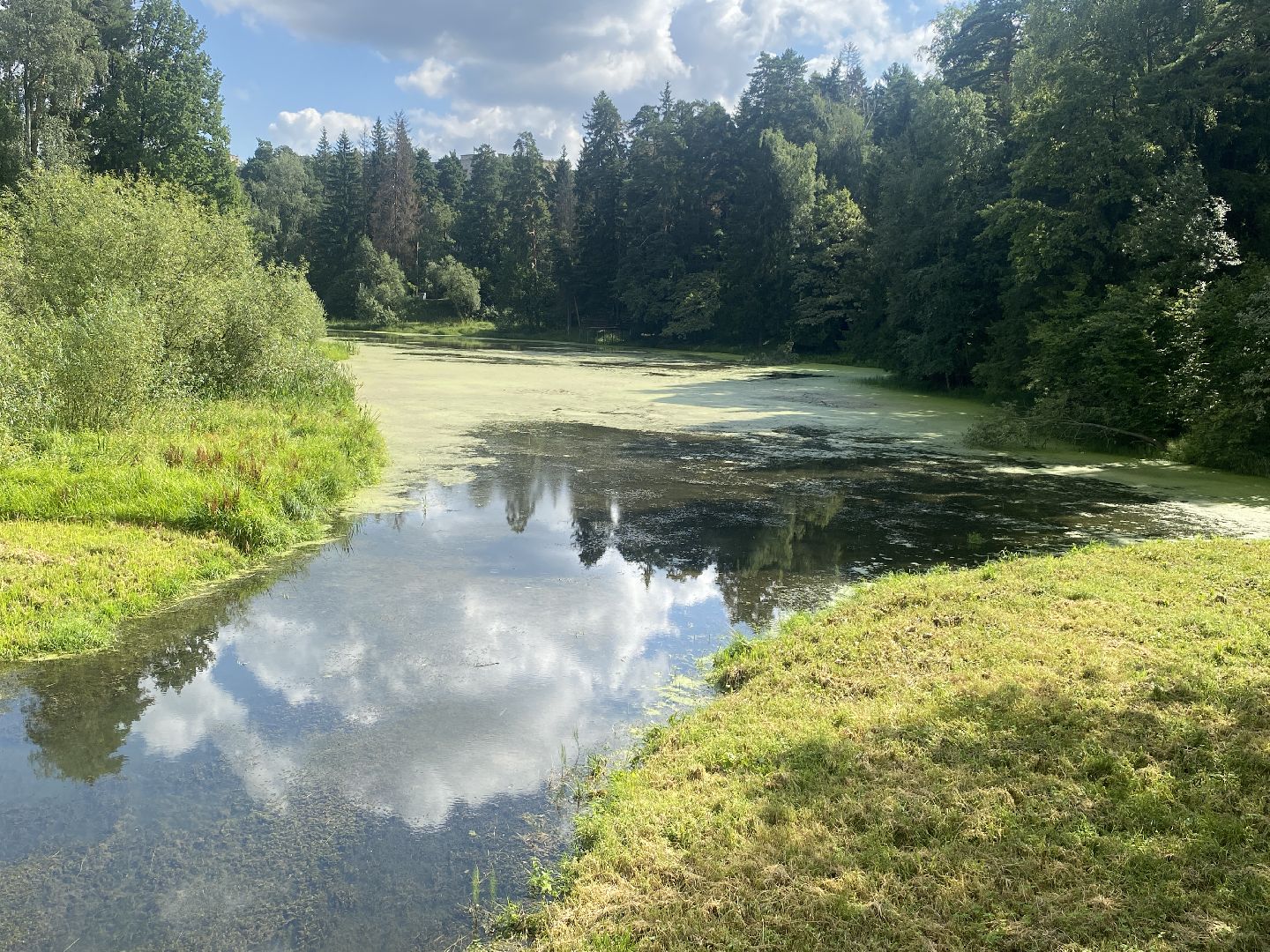 река Загза Власиха, верхнее озеро во власихе, благоустройство набережной, очистка озера во Власихе, обращения жителей,