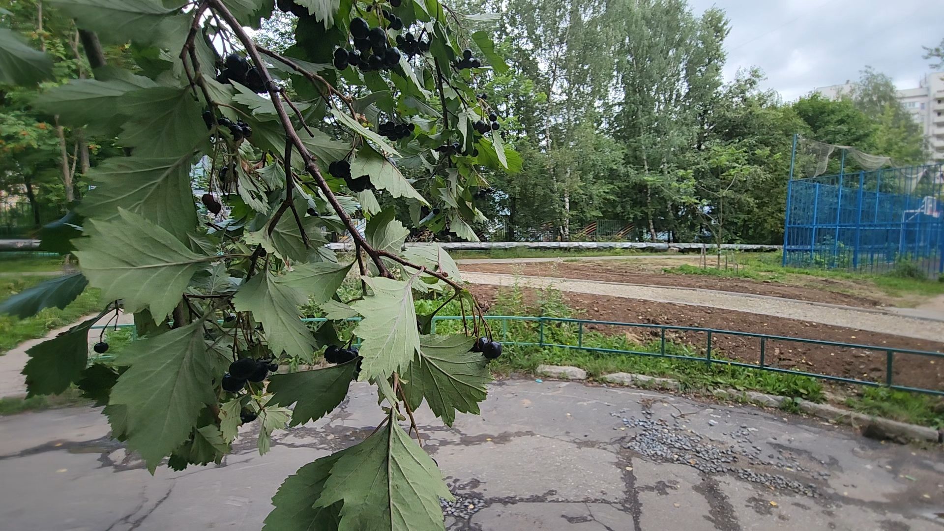 одинцово, благоустройство, пешком, тротуар, губернатор,