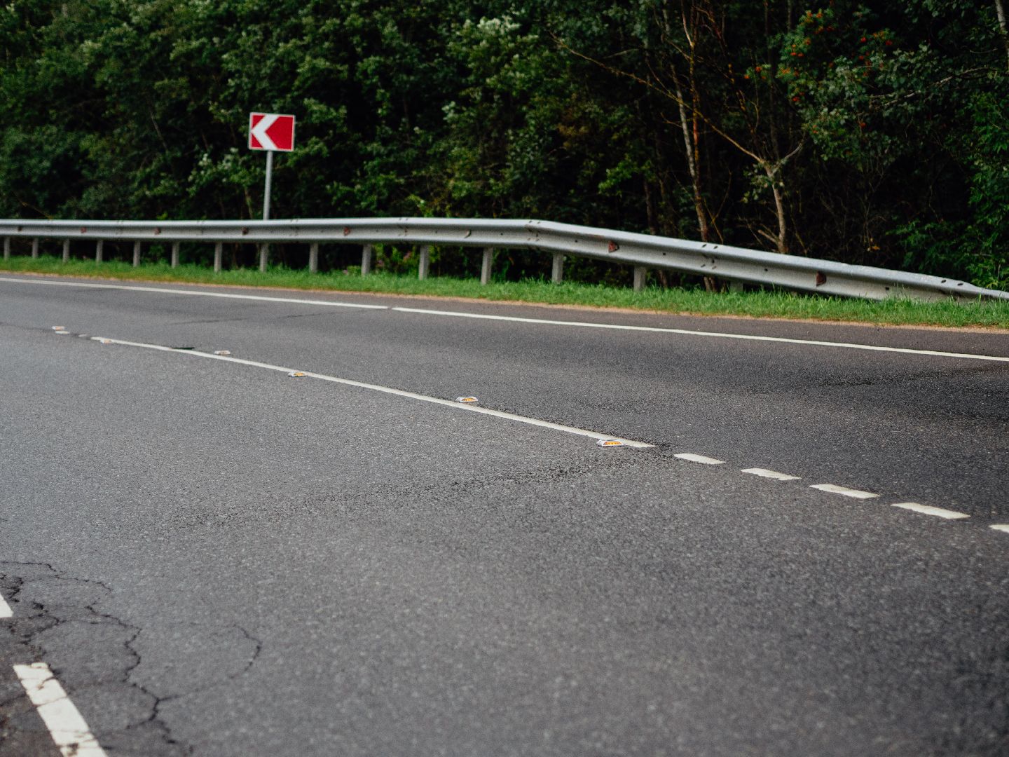 подмосковье, дороги, катафоты, безопасность на дорогах,