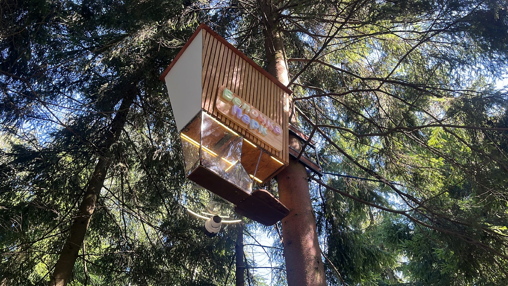 белки, белочка парк, корм, кормушка, кормушка для белок, парк, лесопарк, лесопару ольгино,