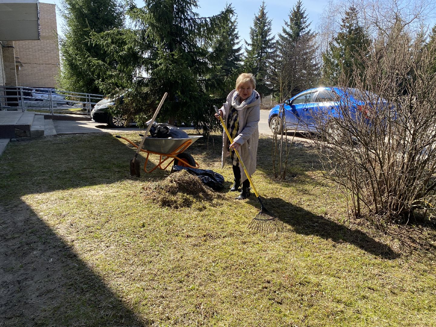 Чехов, благоустройство, жители, территория, уборка