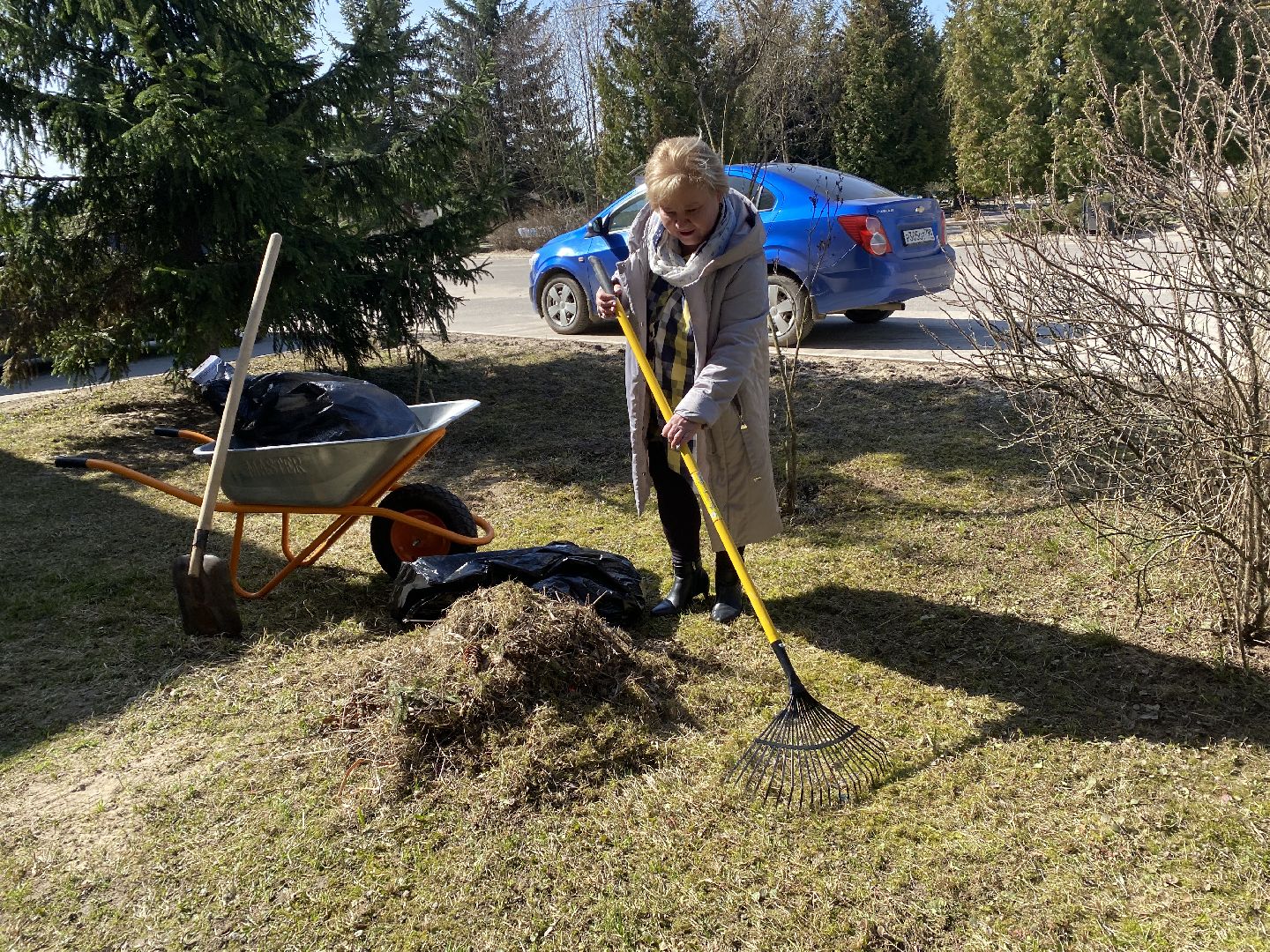 Чехов, благоустройство, жители, территория, уборка