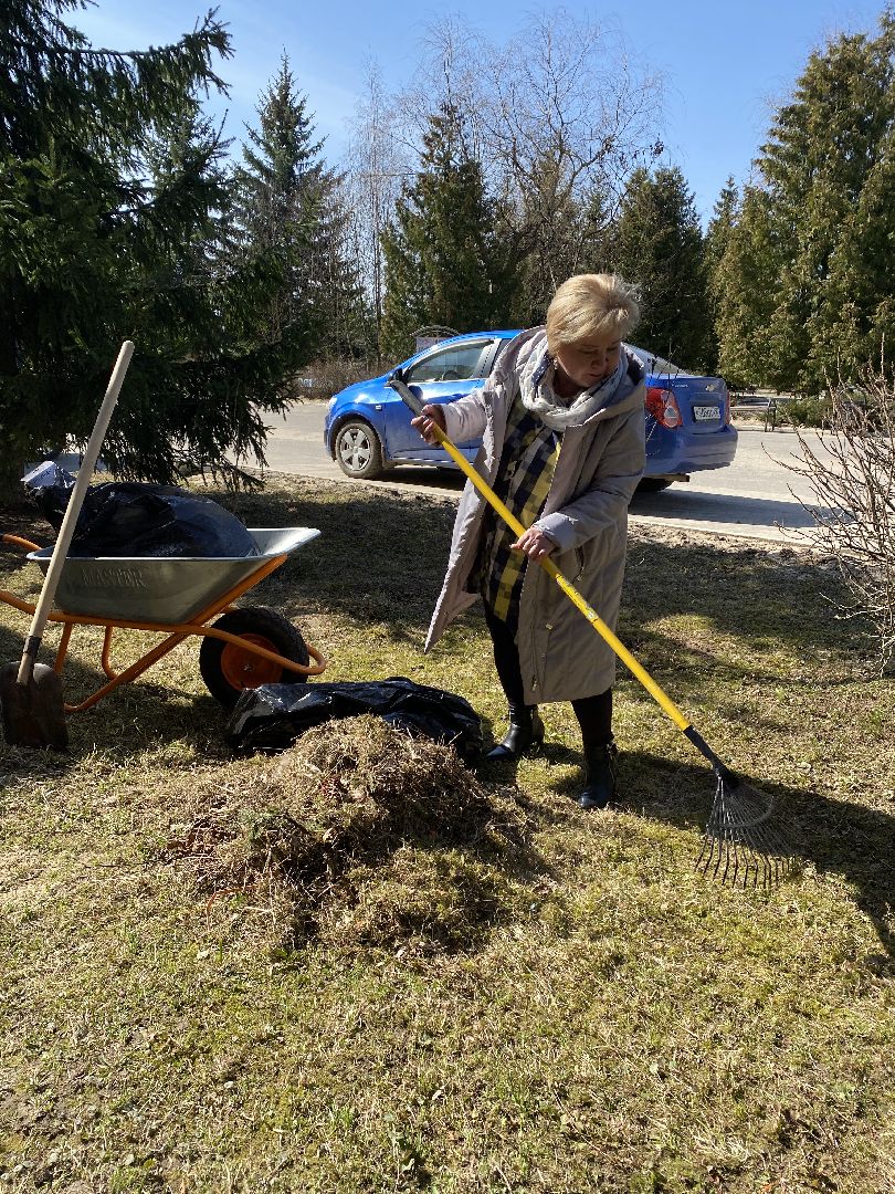 Чехов, благоустройство, жители, территория, уборка
