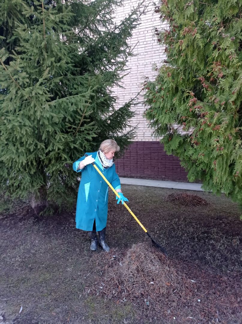 Чехов, благоустройство, жители, территория, уборка