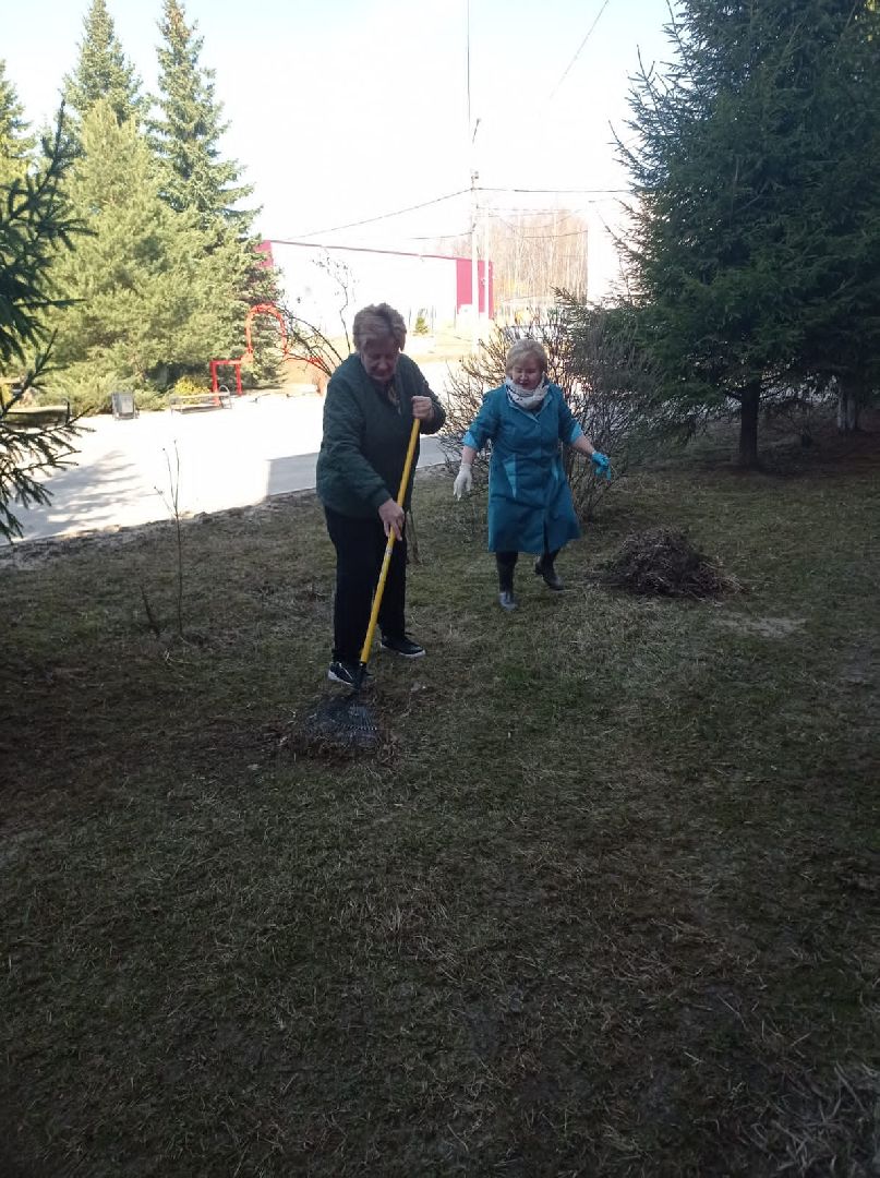 Чехов, благоустройство, жители, территория, уборка