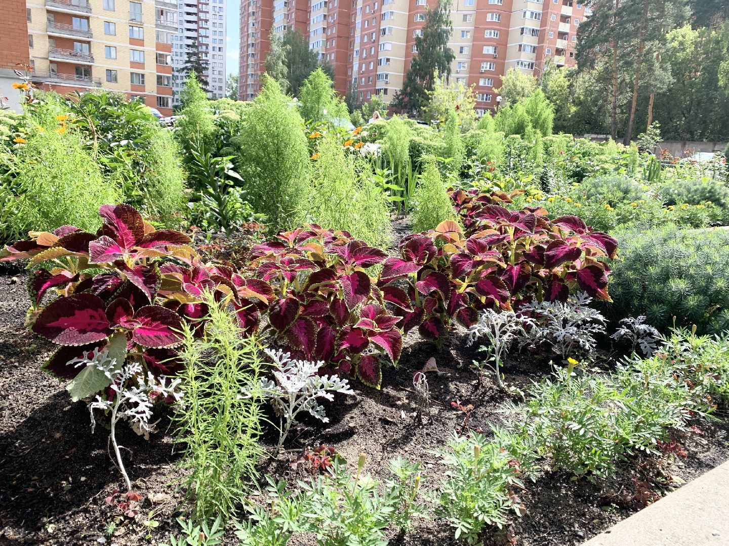 Балашиха, Подмосковье, Мой дом-моя гордость, Конкурсы по благоустройству, Благоустройство дворов, Дворовая территория,