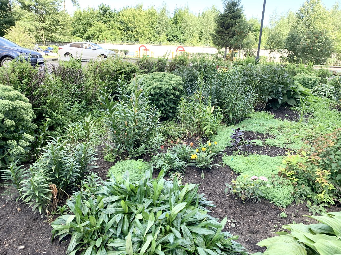 Балашиха, Подмосковье, Мой дом-моя гордость, Конкурсы по благоустройству, Благоустройство дворов, Дворовая территория,