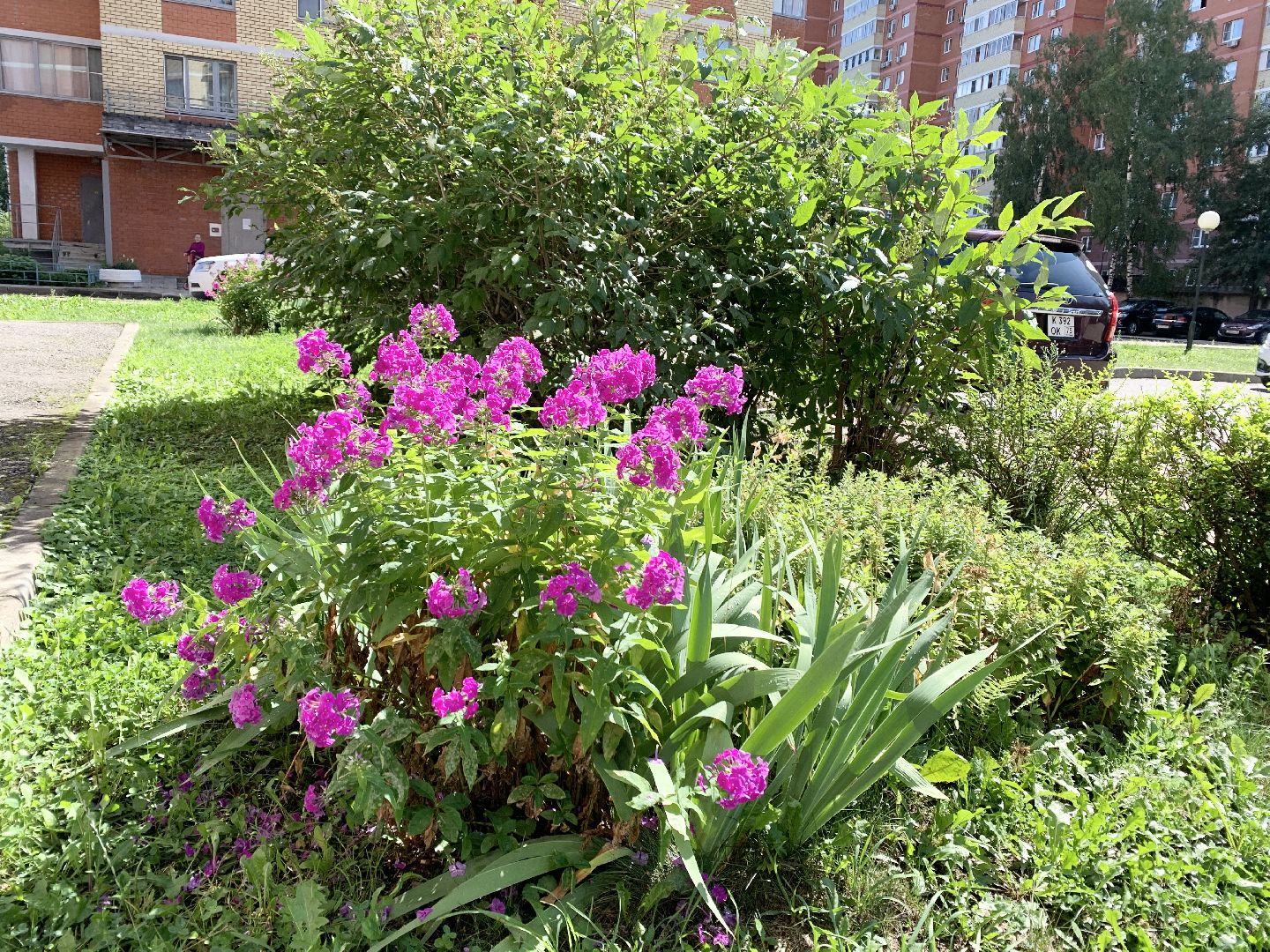 Балашиха, Подмосковье, Мой дом-моя гордость, Конкурсы по благоустройству, Благоустройство дворов, Дворовая территория,