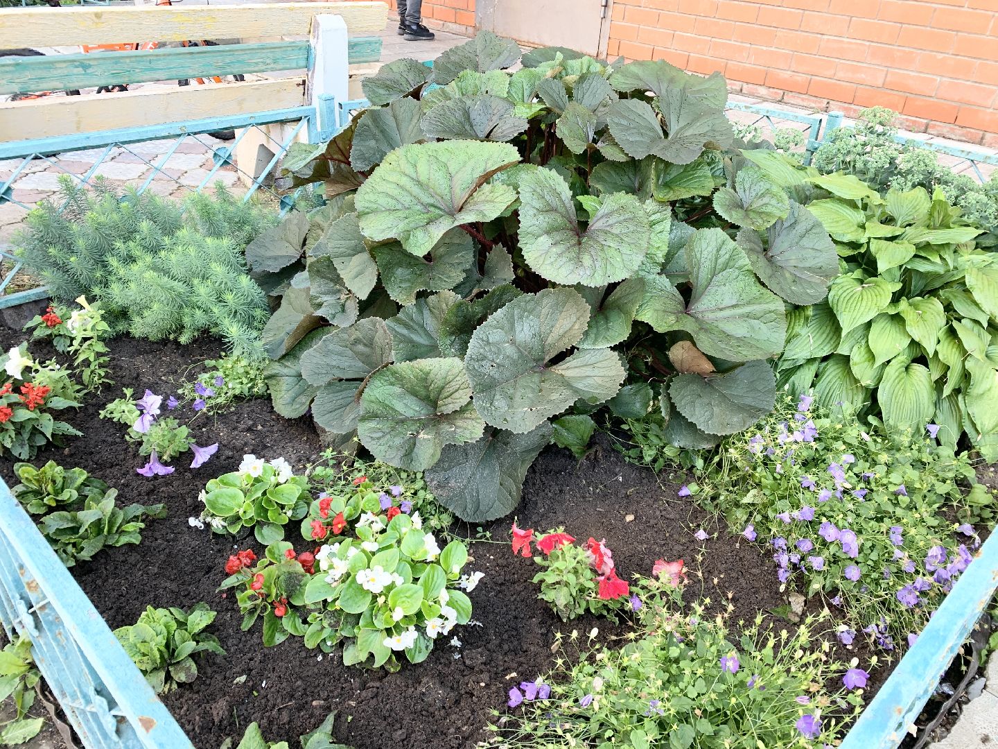 Балашиха, Подмосковье, Мой дом-моя гордость, Конкурсы по благоустройству, Благоустройство дворов, Дворовая территория,