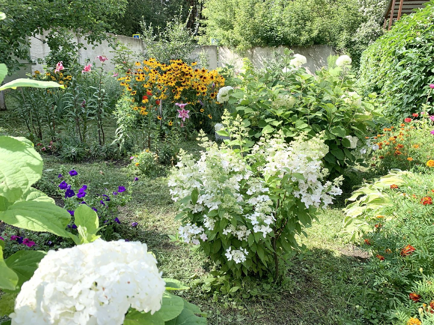 Балашиха, Подмосковье, Мой дом-моя гордость, Конкурсы по благоустройству, Благоустройство дворов, Дворовая территория,