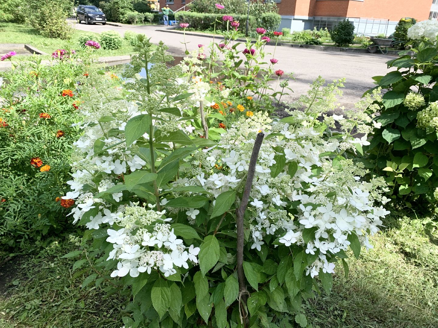 Балашиха, Подмосковье, Мой дом-моя гордость, Конкурсы по благоустройству, Благоустройство дворов, Дворовая территория,