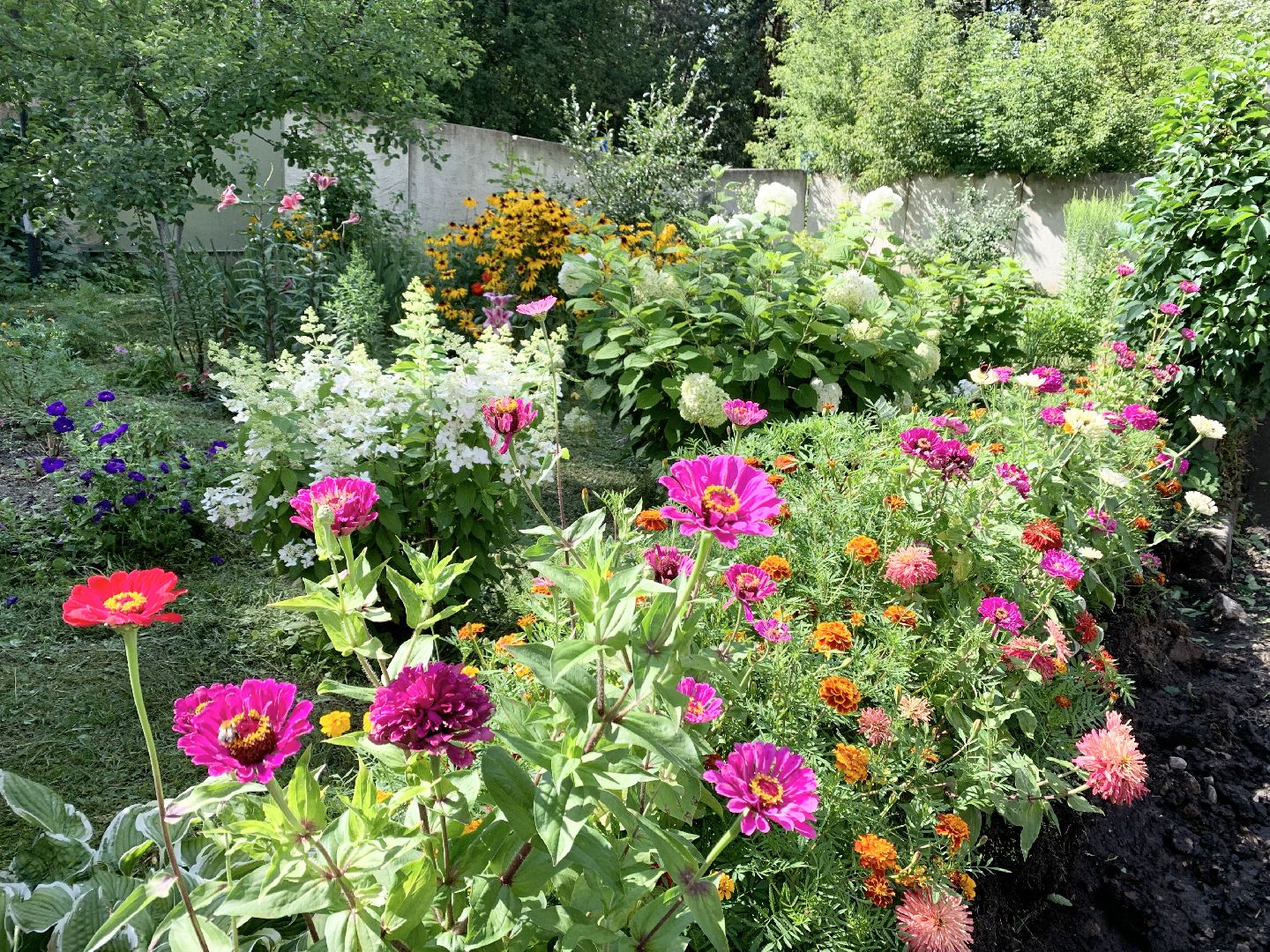 Балашиха, Подмосковье, Мой дом-моя гордость, Конкурсы по благоустройству, Благоустройство дворов, Дворовая территория,