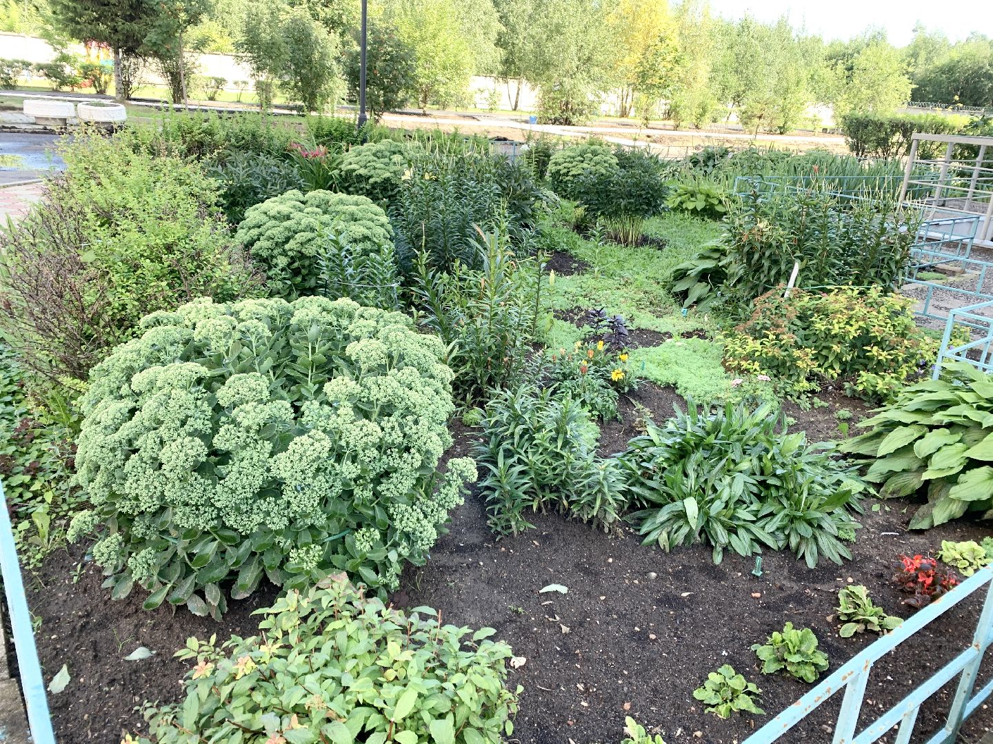 Балашиха, Подмосковье, Мой дом-моя гордость, Конкурсы по благоустройству, Благоустройство дворов, Дворовая территория,
