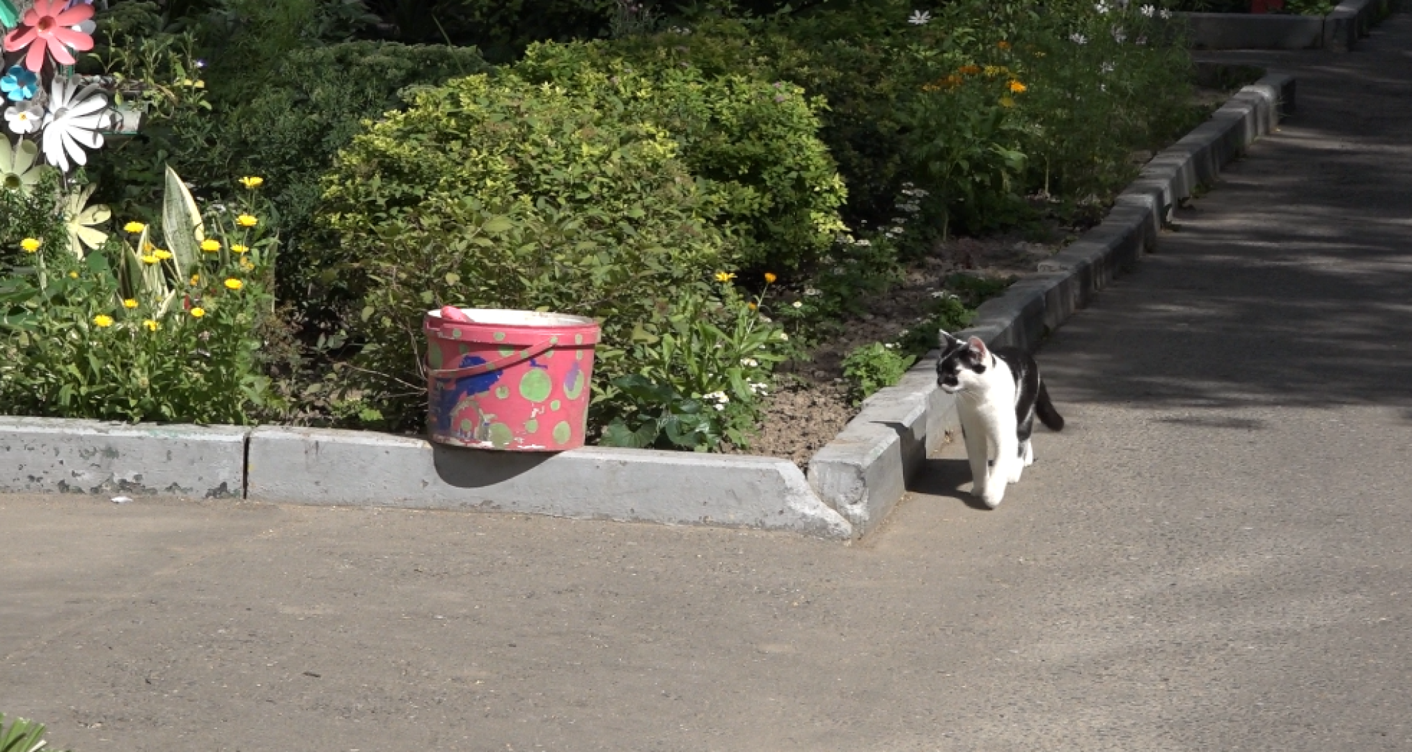 Мой двор - моя гордость, Конкурс среди жителей, общественная палата, Домодедово,