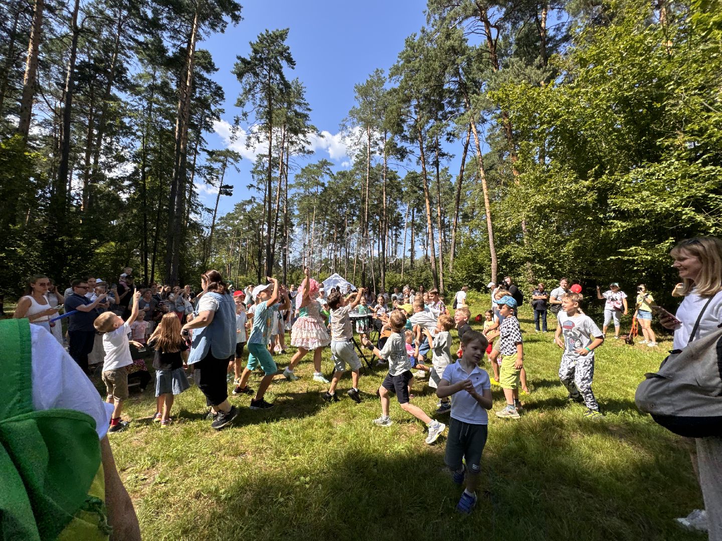 парк Раздолье, парки подмосковья, Одинцово, Туризм,