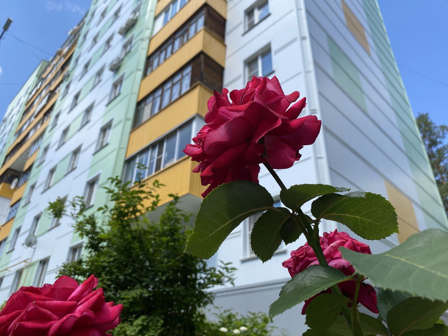 капитальный ремонт домов, фонд капремонта МО, СУФ Термоленд, утепление фасада мкд, ремонт домов во Власихе,