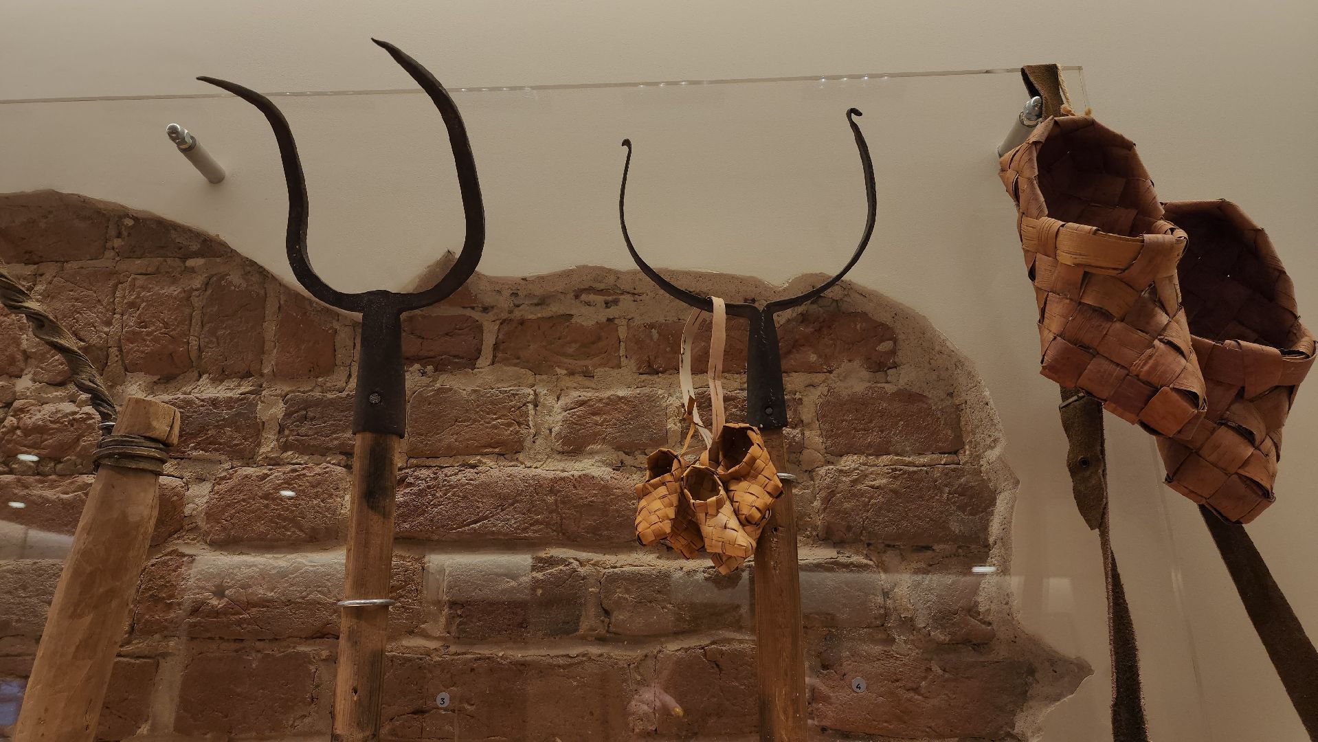 усадьба Белая Дача, музейный комплекс, активное долголетие,