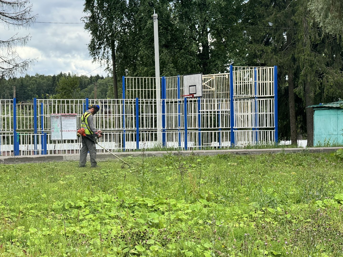 шаховская, покос травы, окашивание, коммунальная служба,