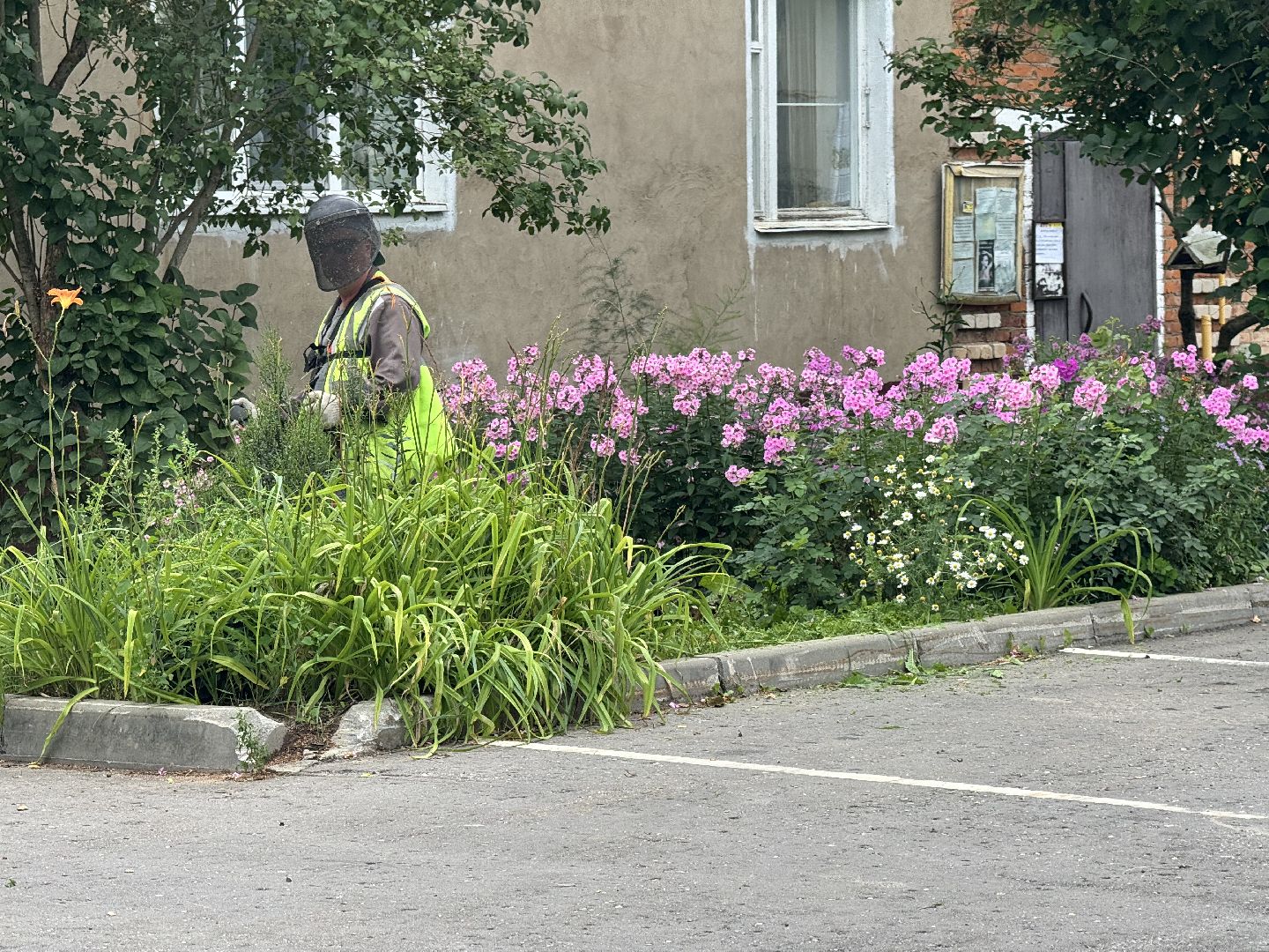шаховская, покос травы, окашивание, коммунальная служба,