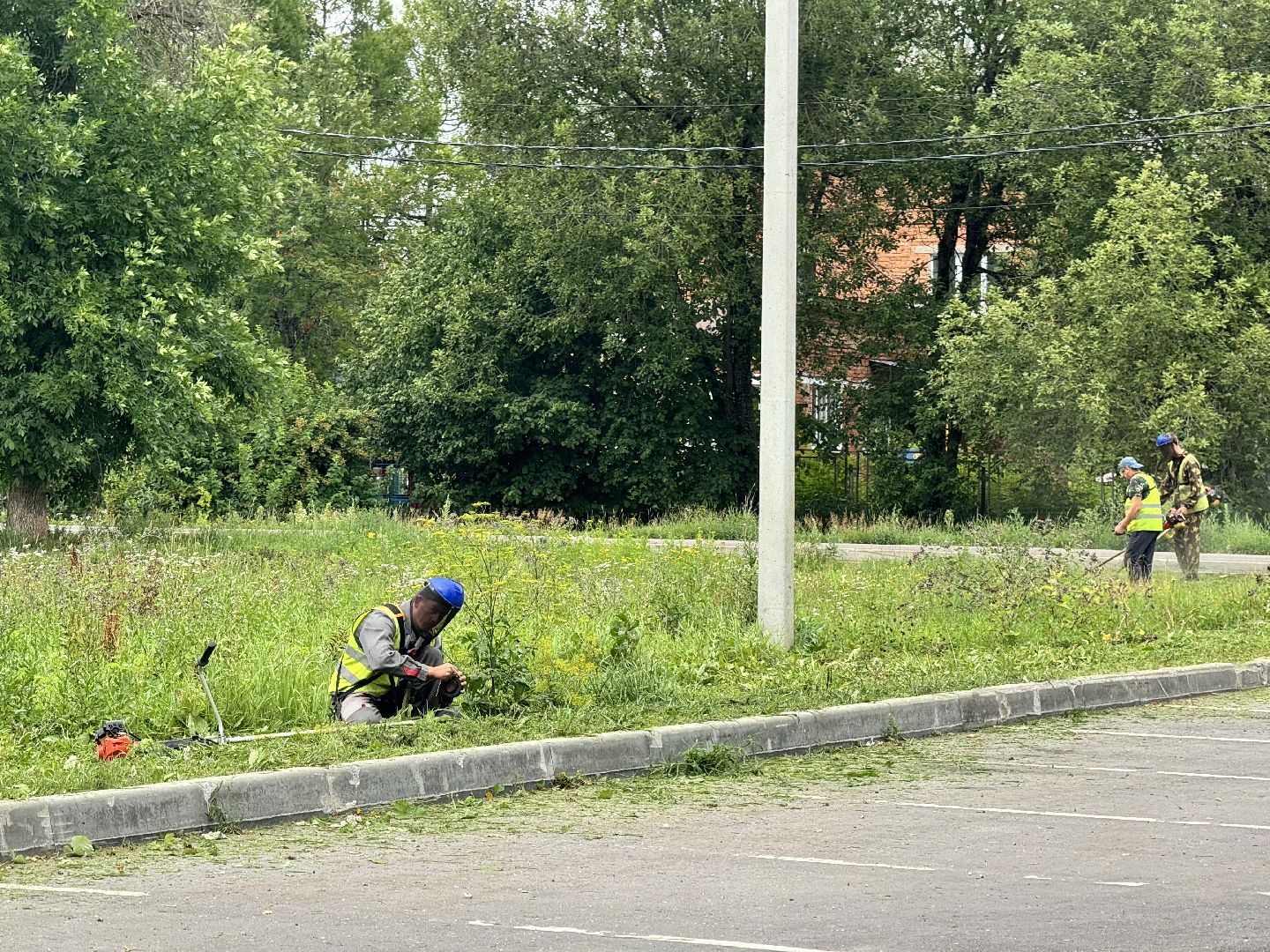 шаховская, покос травы, окашивание, коммунальная служба,