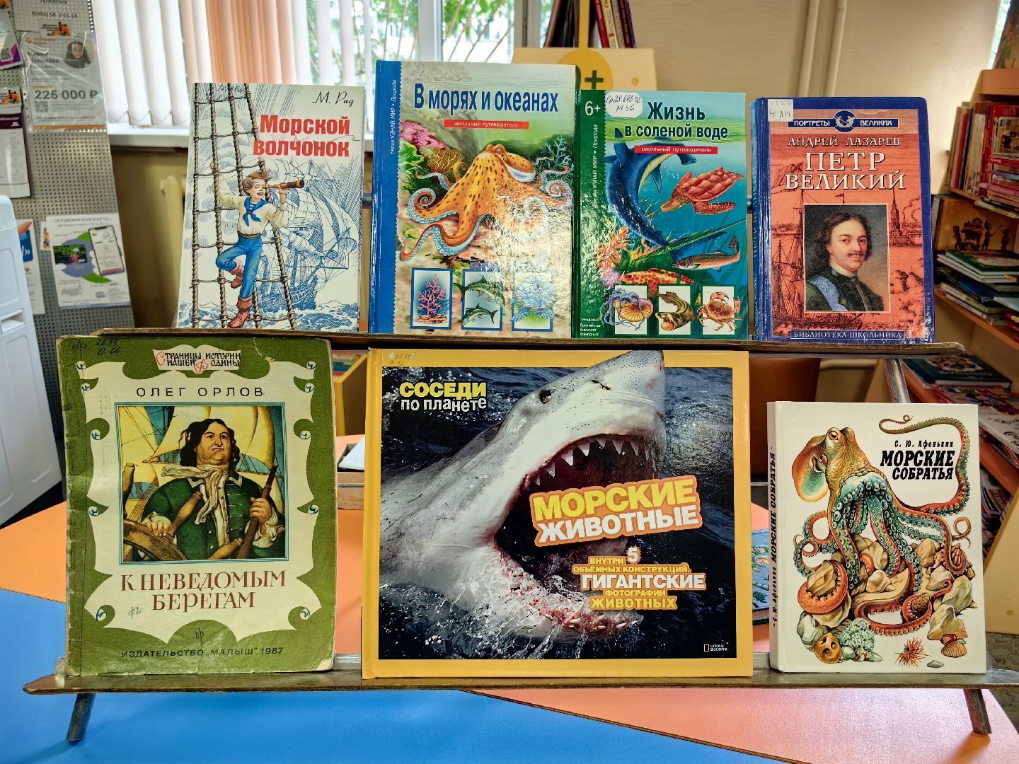 день ВМФ, флот, корабли, история, книги, библиотека, щёлково,