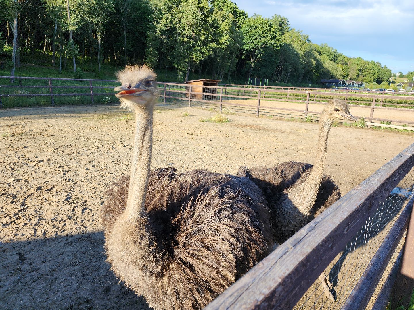 серпухов, подмосковье, экотуризм, бунин ручей,