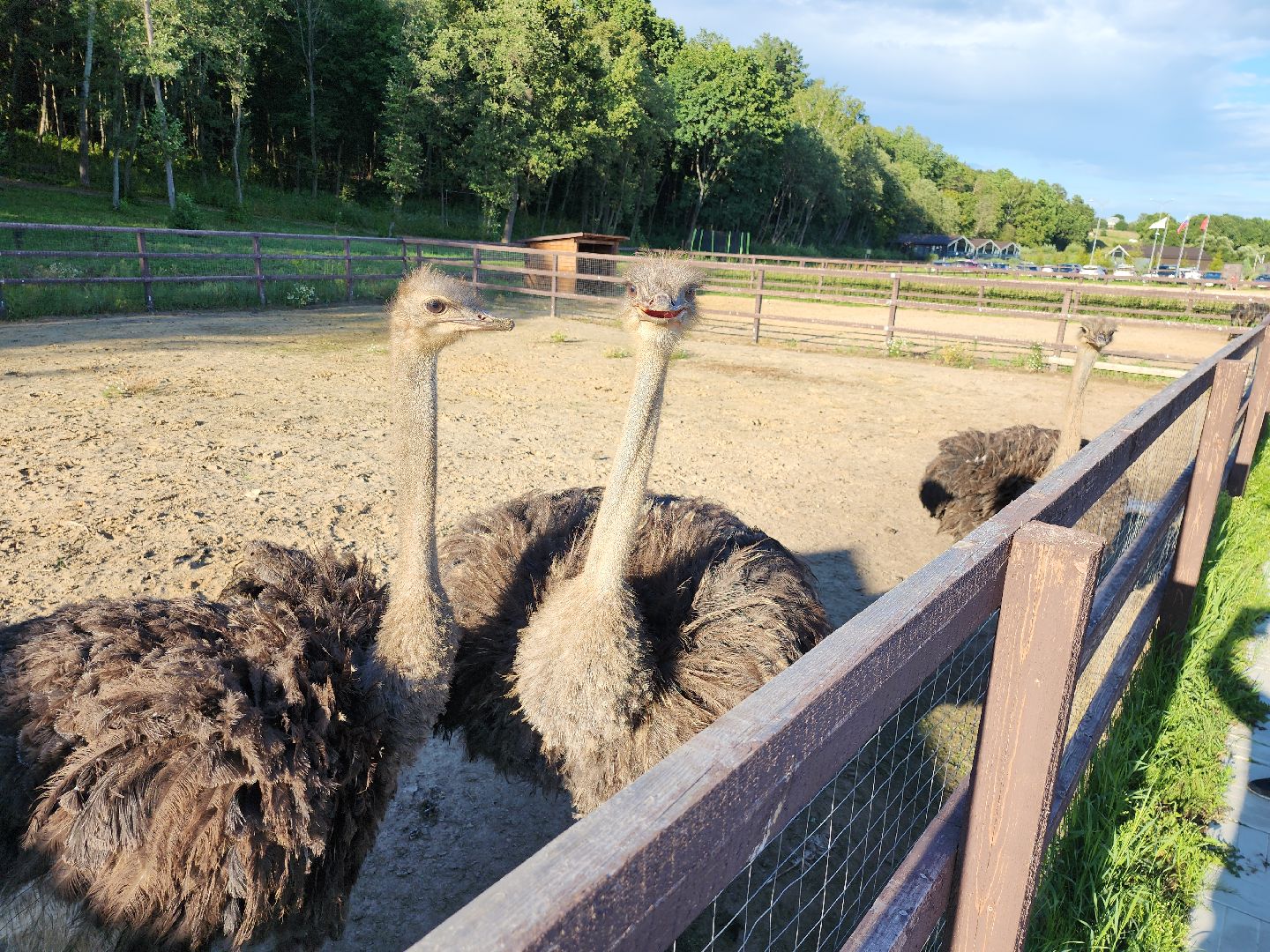 серпухов, подмосковье, экотуризм, бунин ручей,
