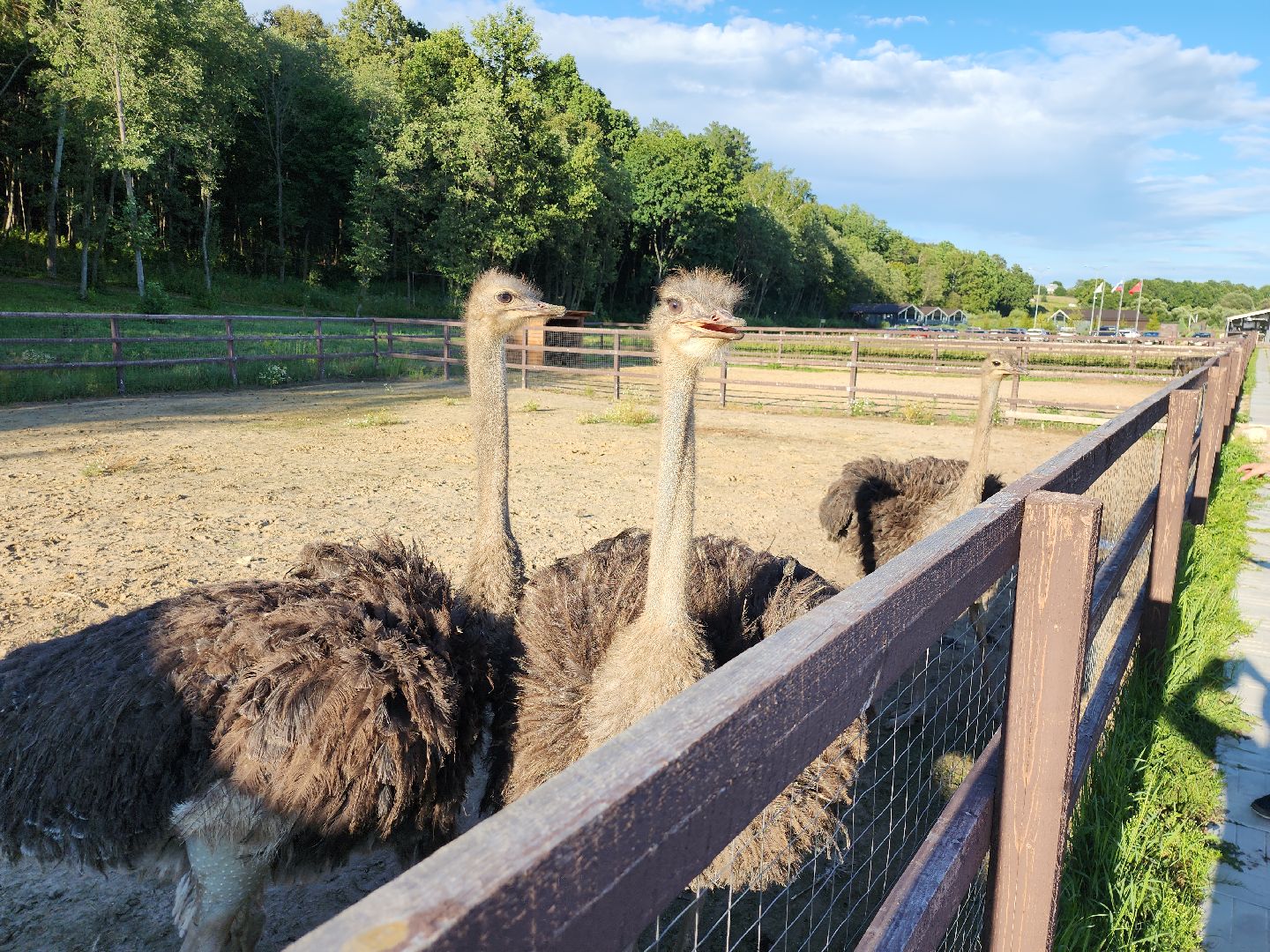 серпухов, подмосковье, экотуризм, бунин ручей,
