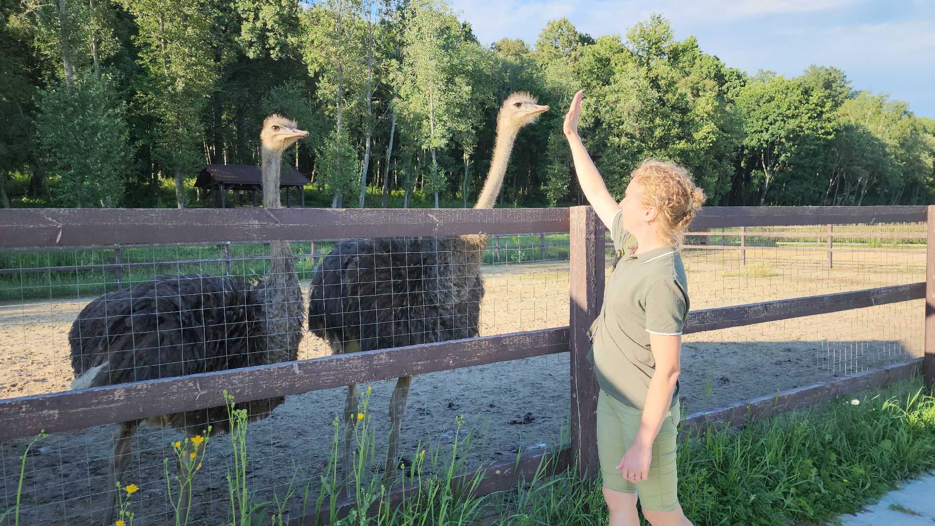 серпухов, подмосковье, экотуризм, бунин ручей,