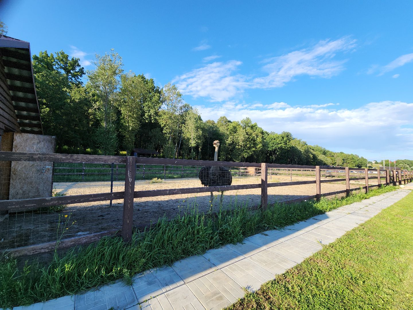 серпухов, подмосковье, экотуризм, бунин ручей,