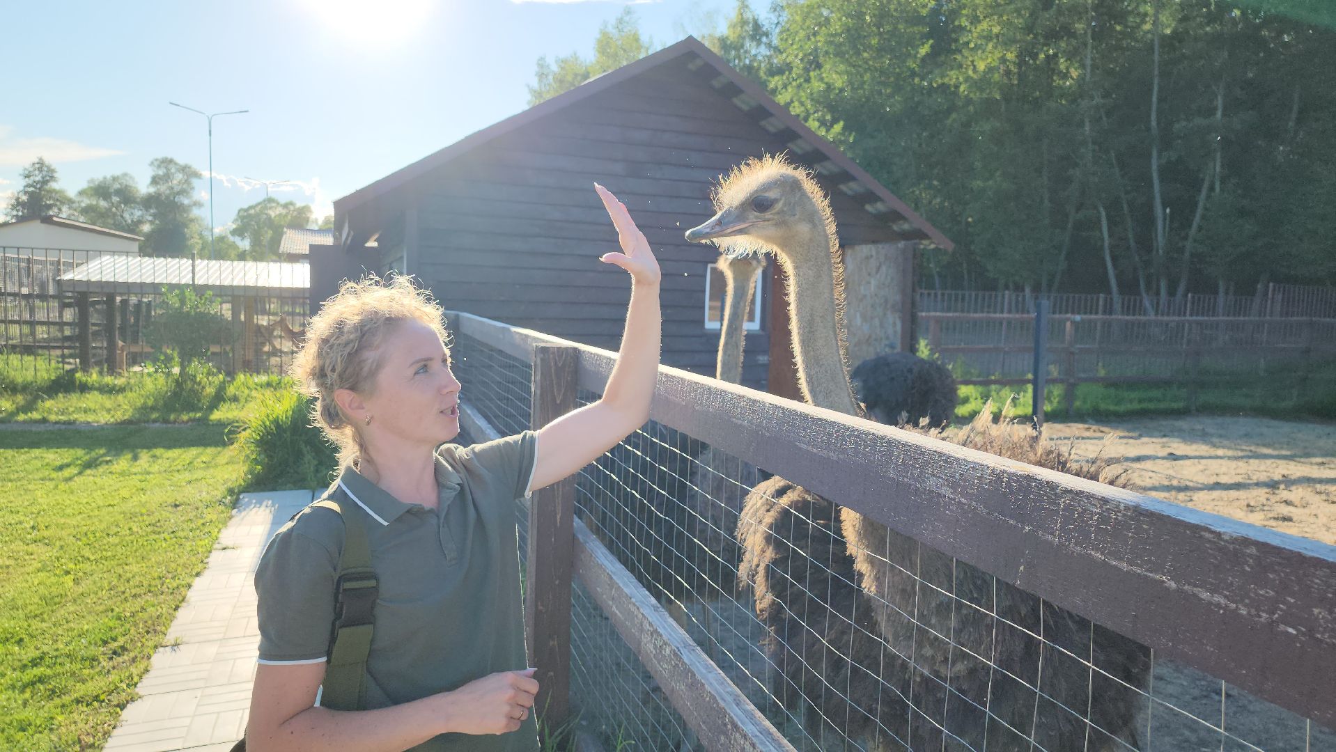серпухов, подмосковье, экотуризм, бунин ручей,
