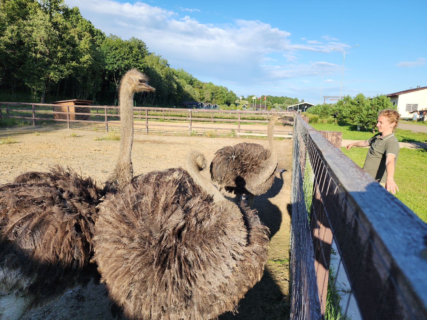серпухов, подмосковье, экотуризм, бунин ручей,