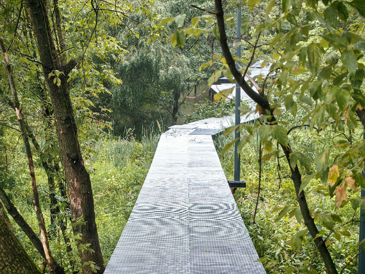 благоуйстройство, озеро, Формирование комфортной городской среды, амфитеатр, щёлково,