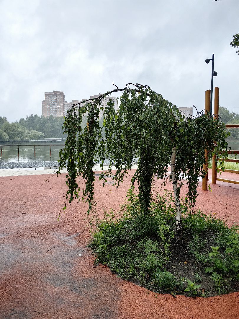 благоуйстройство, озеро, Формирование комфортной городской среды, амфитеатр, щёлково,