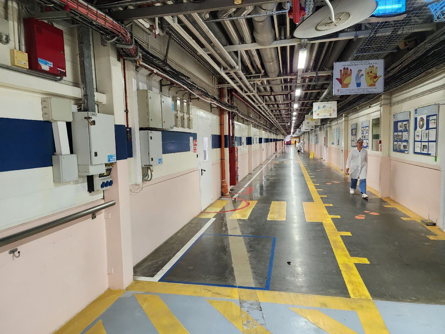 Чехов, поселок Любучаны, компания Health and Nutrition, завод, молочная продукция, качество, безопасность, контроль, проверка, тестирование, мониторинг,