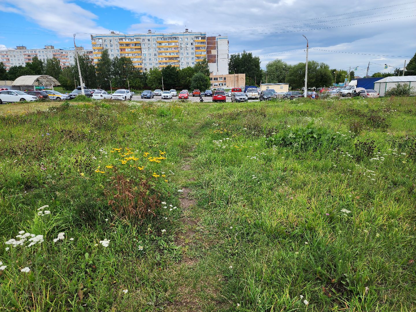 Коломна, выездная администрация, благоустойство,