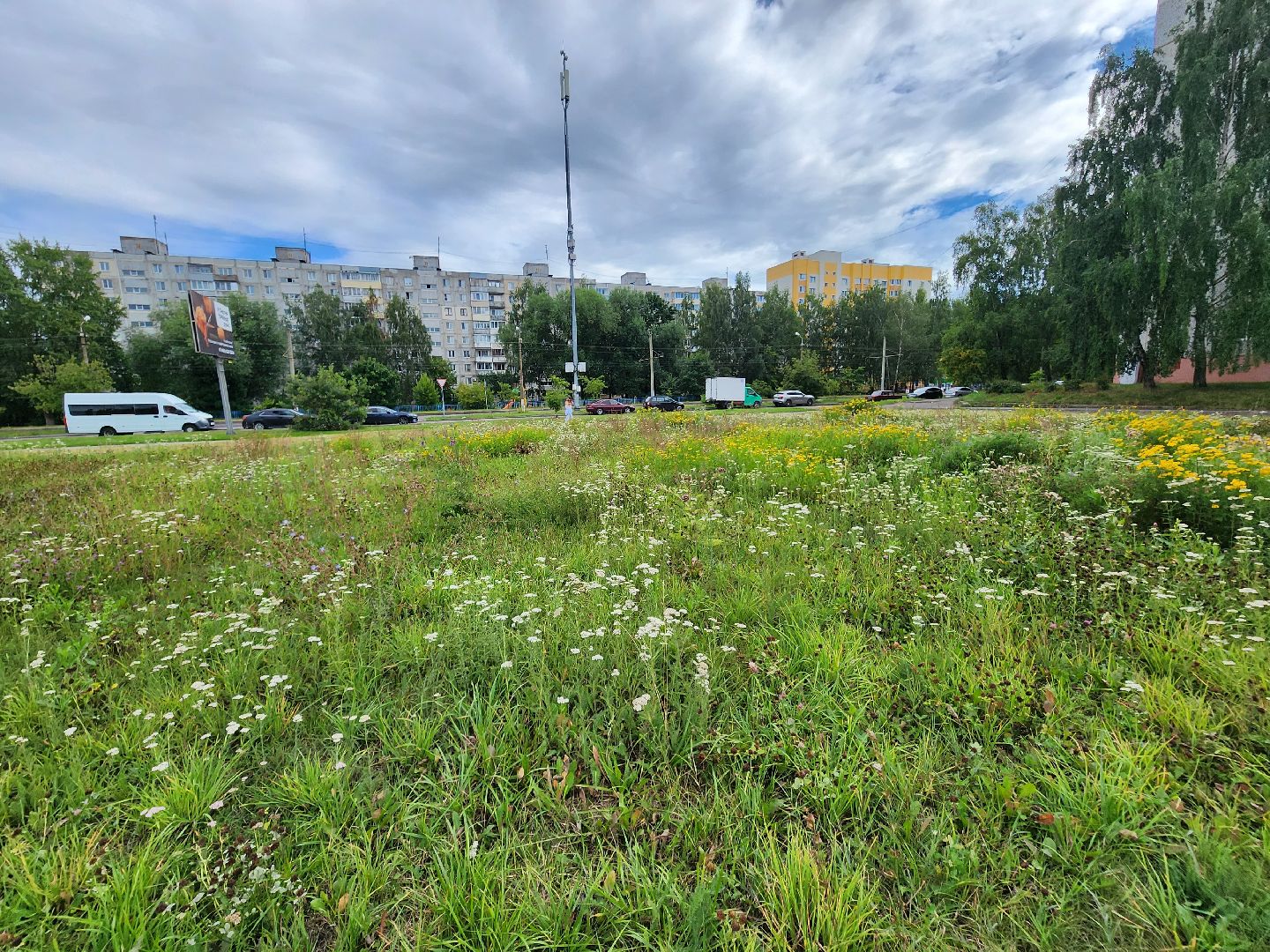 Коломна, выездная администрация, благоустойство,