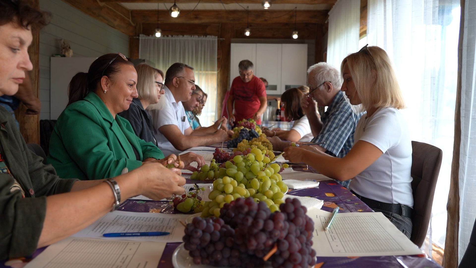 Егорьевск, Бизнес, Подмосковье, Московская область, виноград, импортозамещение,
