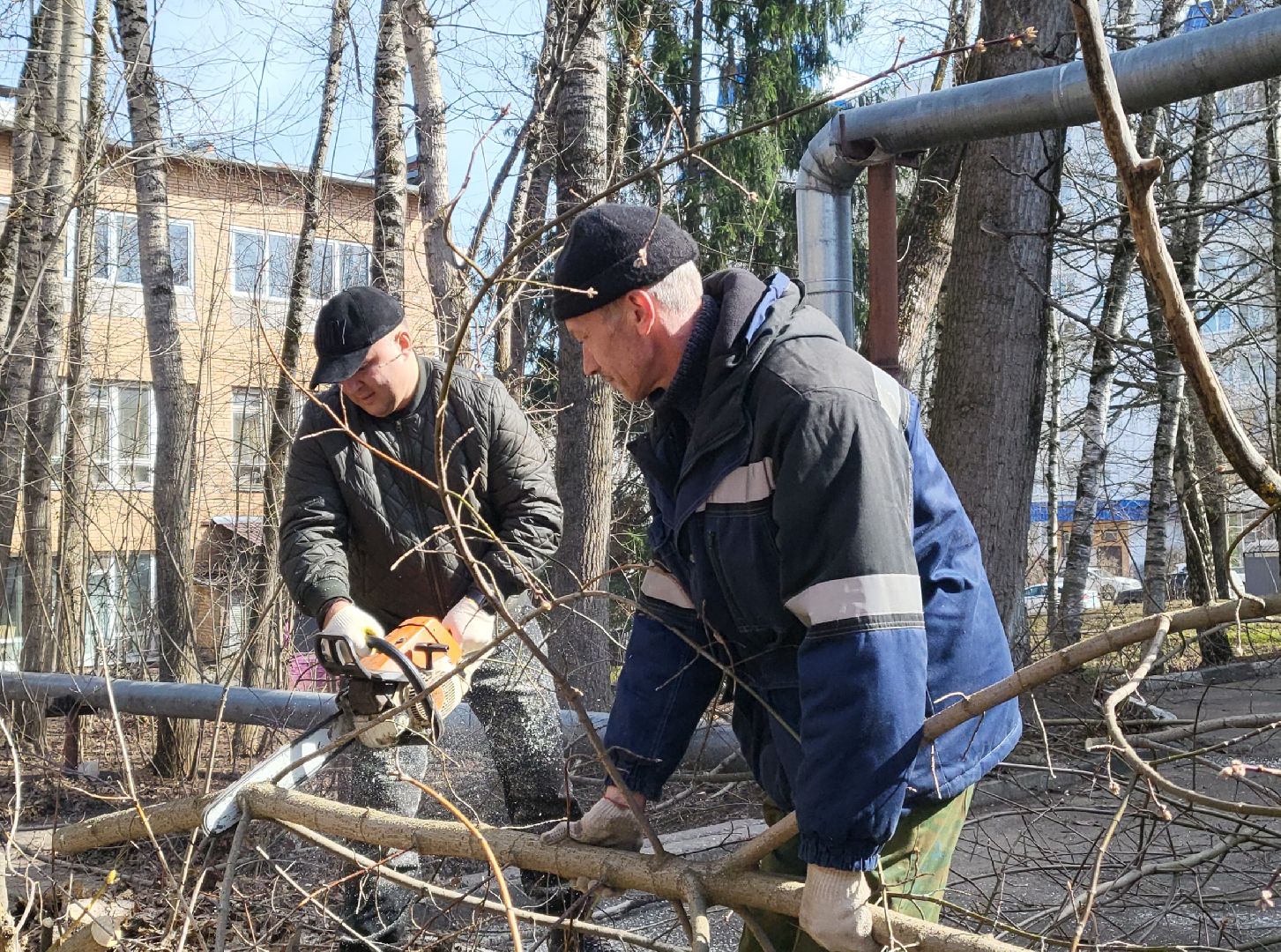 Субботник, Власиха