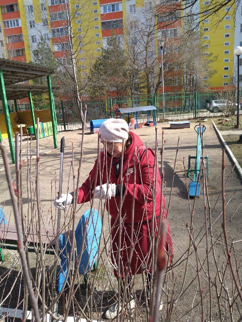 Субботник, Власиха