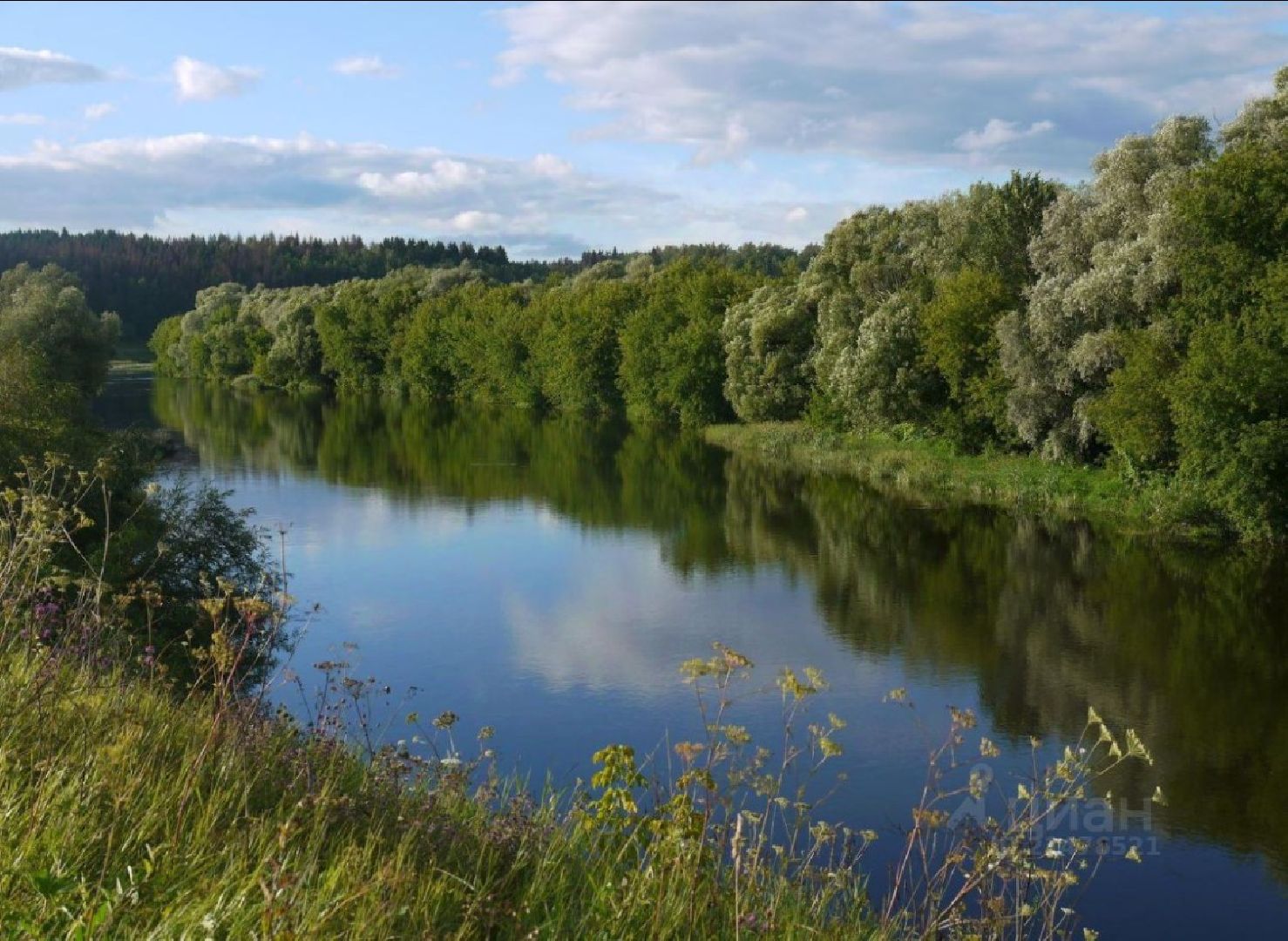 Звенигород, Культура, Выездная администрация,
