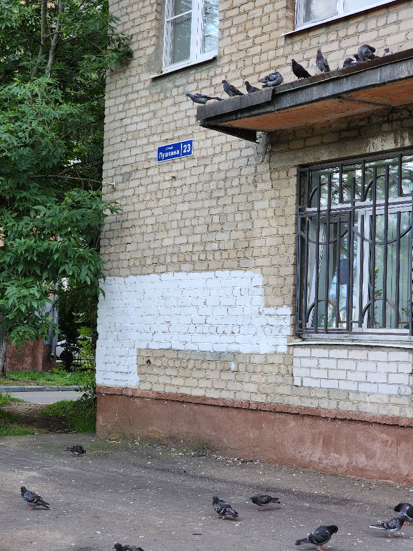 электросталь, ремонт, ремонт подъездов, программа губернатора, программа губернатора мо, капремонт,