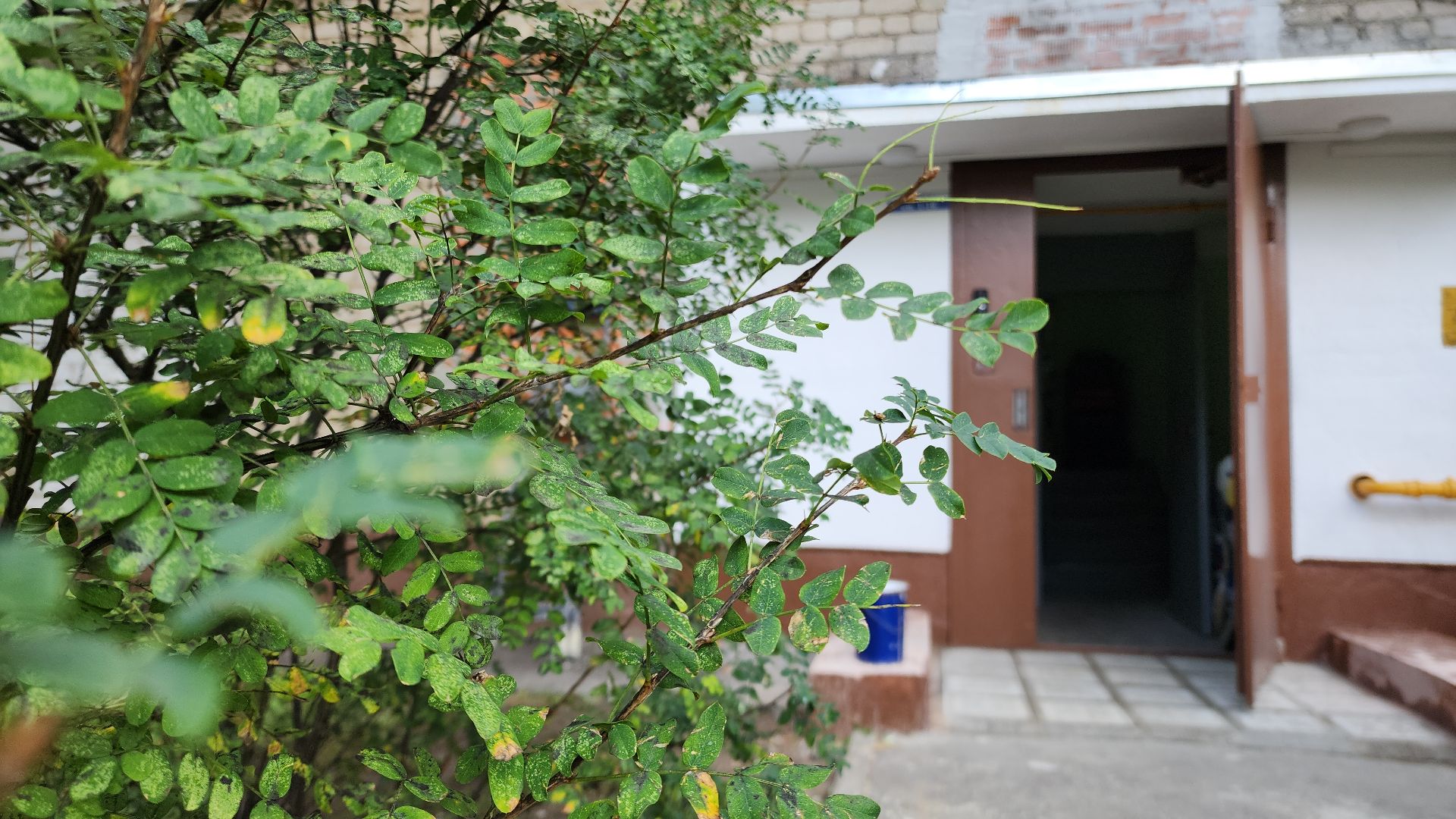 электросталь, ремонт, ремонт подъездов, программа губернатора, программа губернатора мо, капремонт,