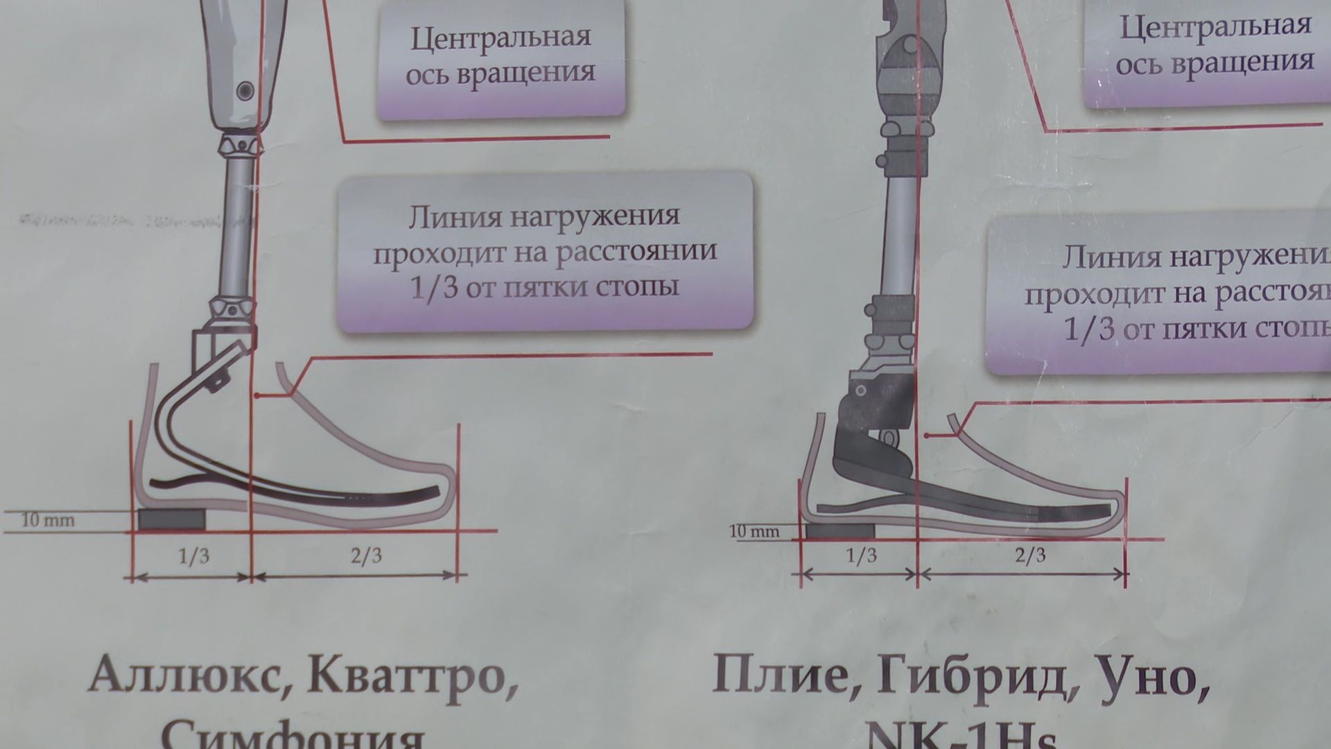 Реутов, экономика, СВО, протезы, военнослужащие сво,