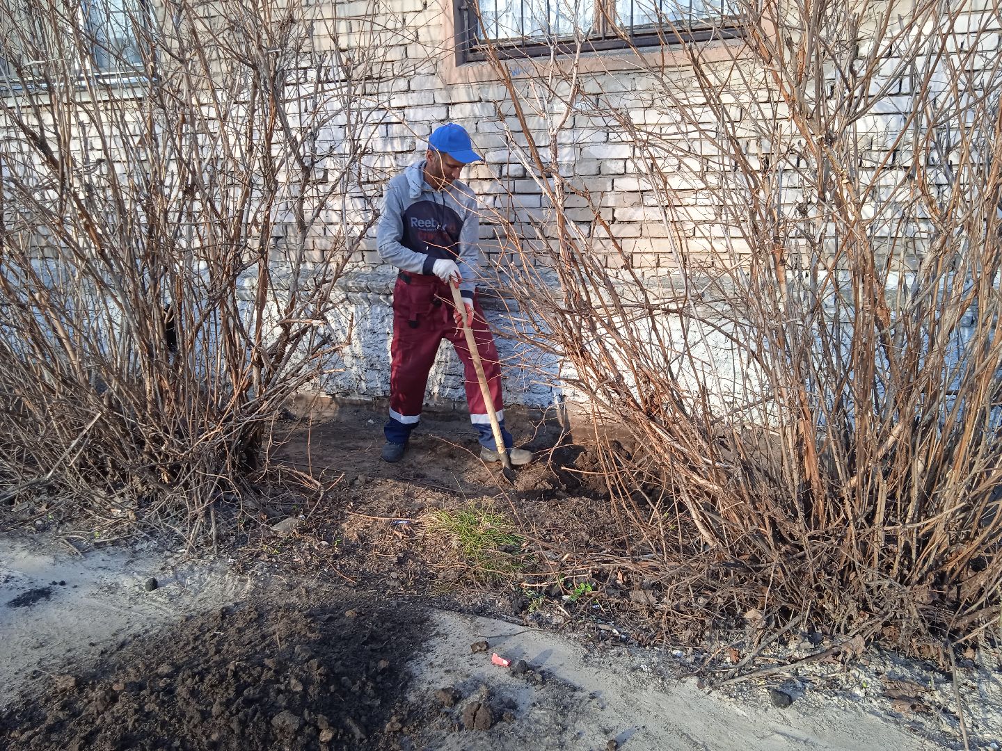 дом, отмостка, ремонт, перемены, Жуковский