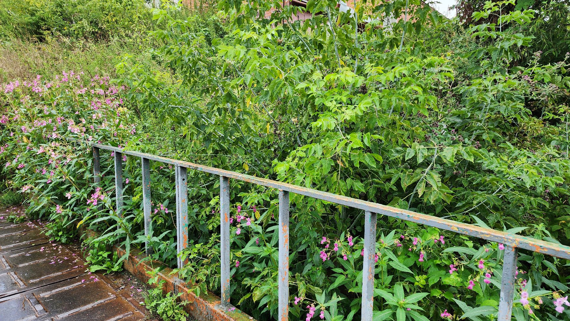 кашира, ледово, выездная администрация, покос территории, ремонт моста, уборка территории,