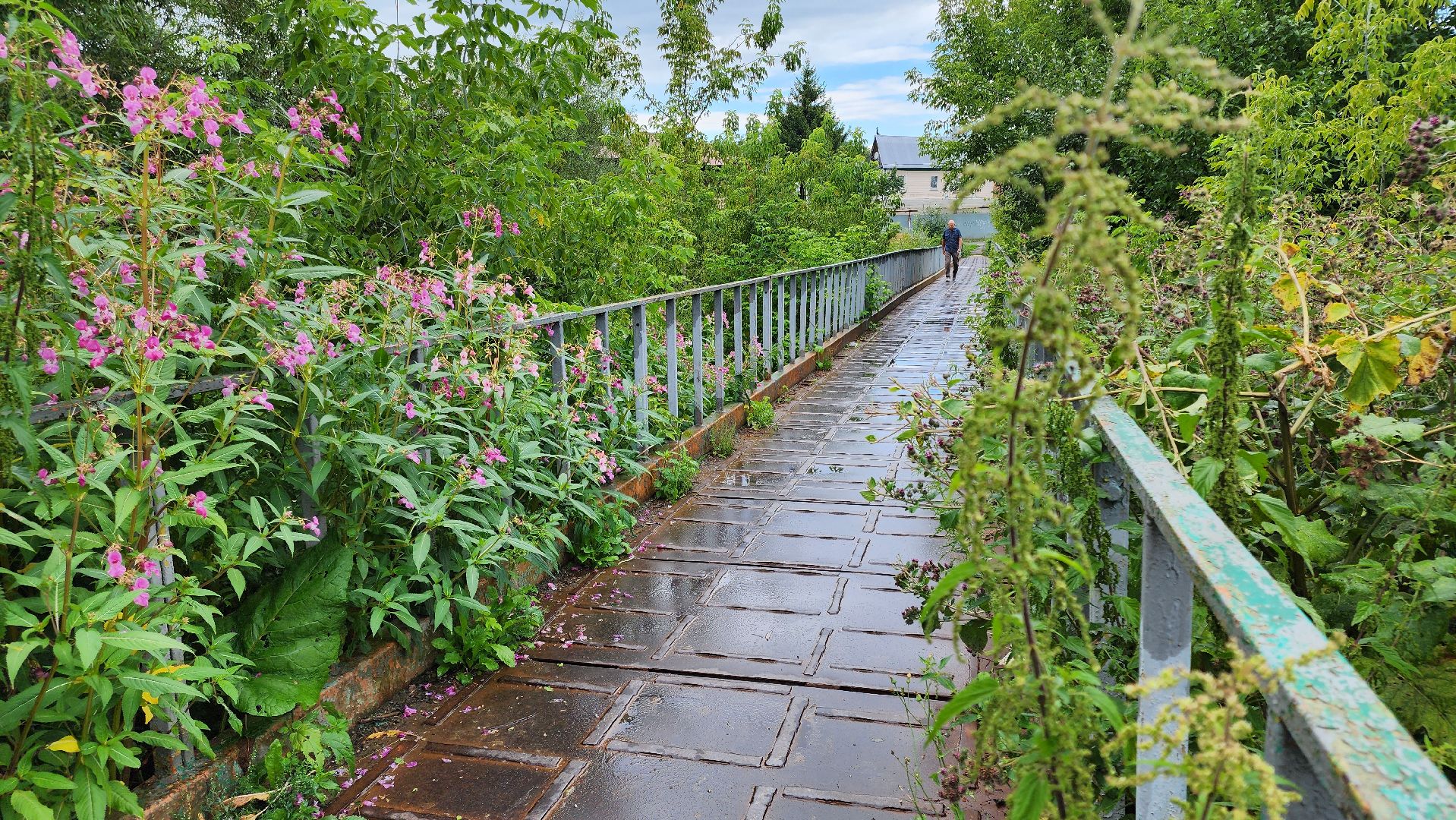 кашира, ледово, выездная администрация, покос территории, ремонт моста, уборка территории,