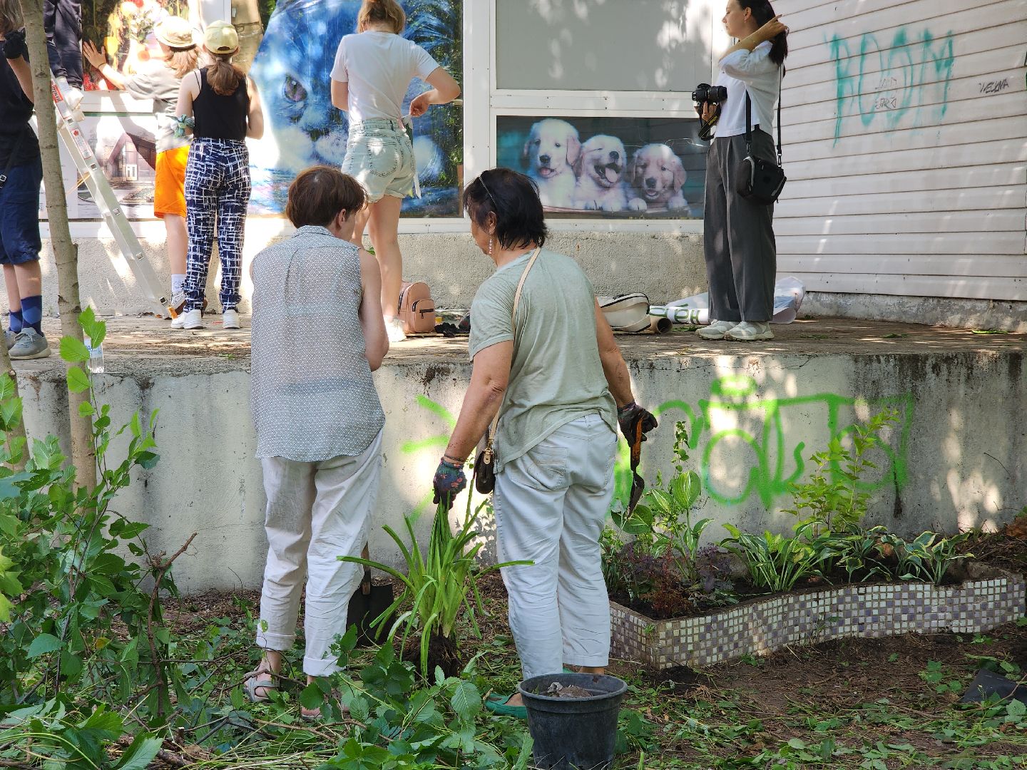 Черноголовка, оранжерея, Арт-субботник, жкх,